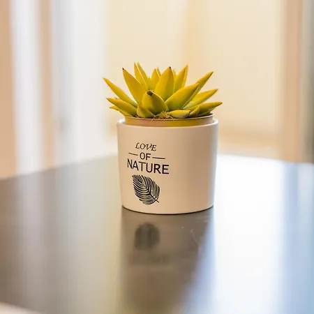 Διαμέρισμα Nevera 1