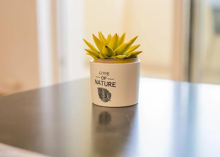 Διαμέρισμα Nevera 1