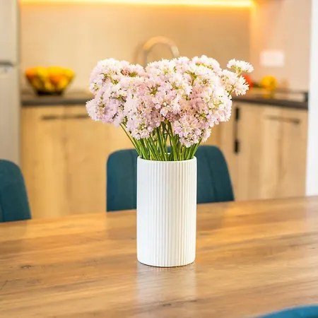 Nevera 1 Apartment *